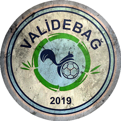 Logo Validebağ Spor Kulübü