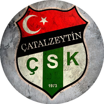 Logo Çatalzeytin Zümrüt 80