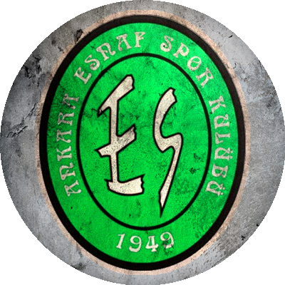 Logo Ankara Esnafspor