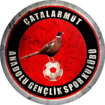 Logo Çatalarmut Anadolu Spor Kulübü