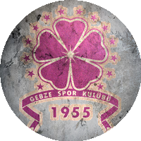 Logo Gebzespor