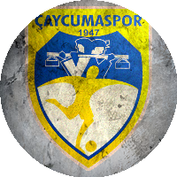 Logo Çaycumaspor