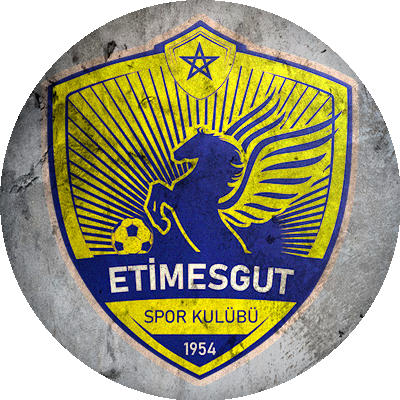 Logo Etimesgut Belediye Spor