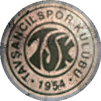 Logo Tavşancılspor