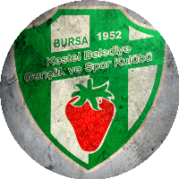 Logo Kestel Belediyespor