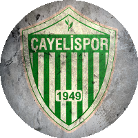Logo Çayeli Spor