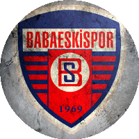 Logo Babaeskispor