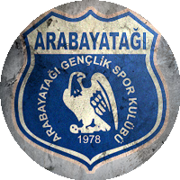 Logo TSE Arabayatağı Spor
