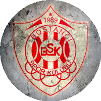 Logo Bostancı