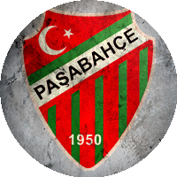 Logo Paşabahçe