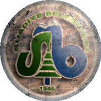 Logo Kartepe Suadiye Spor