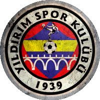 Logo Sakarya Yıldırımspor