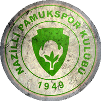 Logo Pamukspor
