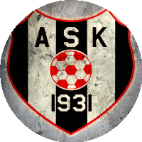 Logo Ayancık Spor