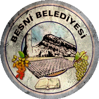 Logo Besni Akın Spor