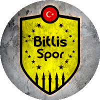 Logo Bitlisspor