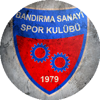 Logo Yenisanayispor