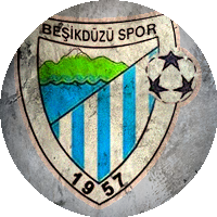 Logo Beşikdüzüspor