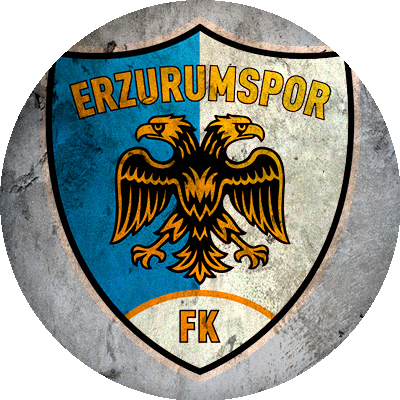 Büyükşehir Belediye Erzurumspor