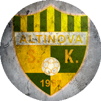Logo Altınova