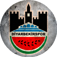 Logo Diyarbekir Spor A.Ş.