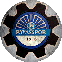 Logo Payasspor