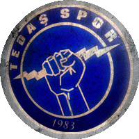 Logo Toroslar Arpaçsakarlar Spor