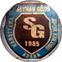 Logo Seyhangücü