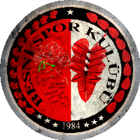 Logo Besnispor