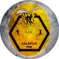 Logo Ardahan Arı Spor