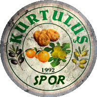 Logo Hamzallıspor