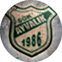 Logo Balıkesir Sakaryaspor