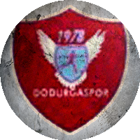Logo Dodurgaspor