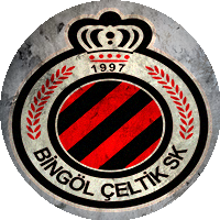 Logo Çeltikspor