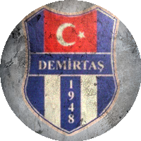 Logo Demirtaşspor