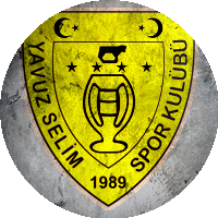 Logo Bursa Yavuz Selimspor