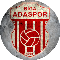 Logo Biga Ada Spor