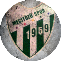 Logo Mecitözüspor
