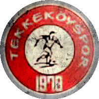 Logo Tekkeköy Spor