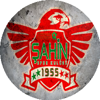 Logo Şahinspor