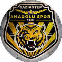 Logo Gaziantep Anadolu Spor