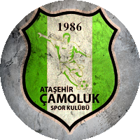 Logo Ataşehir Çamoluk Spor