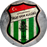 Logo Selvispor