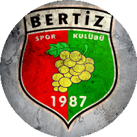 Logo Bertizspor