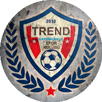 Logo Erciyes Esen Makine Spor