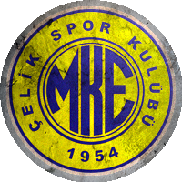 Logo MKE Çelik Spor