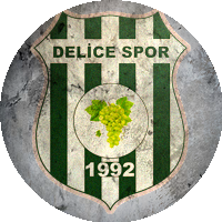 Logo Delicespor