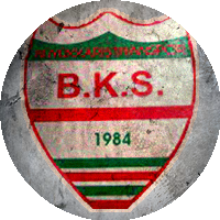 Logo Büyük Karıştıranspor