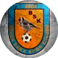 Logo Kütahya Büyük Saka Mavi Şimşek Spor Kulübü
