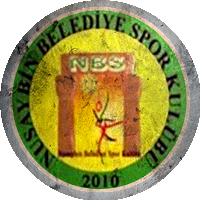 Logo Nusaybin Belediyespor